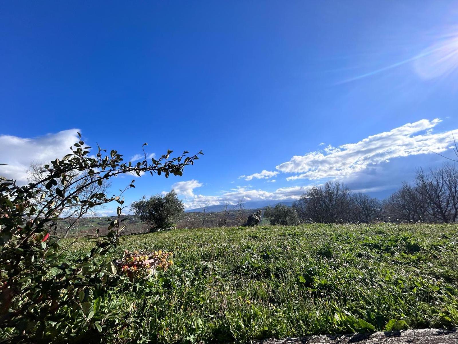 Residence San Martino Busso Екстериор снимка