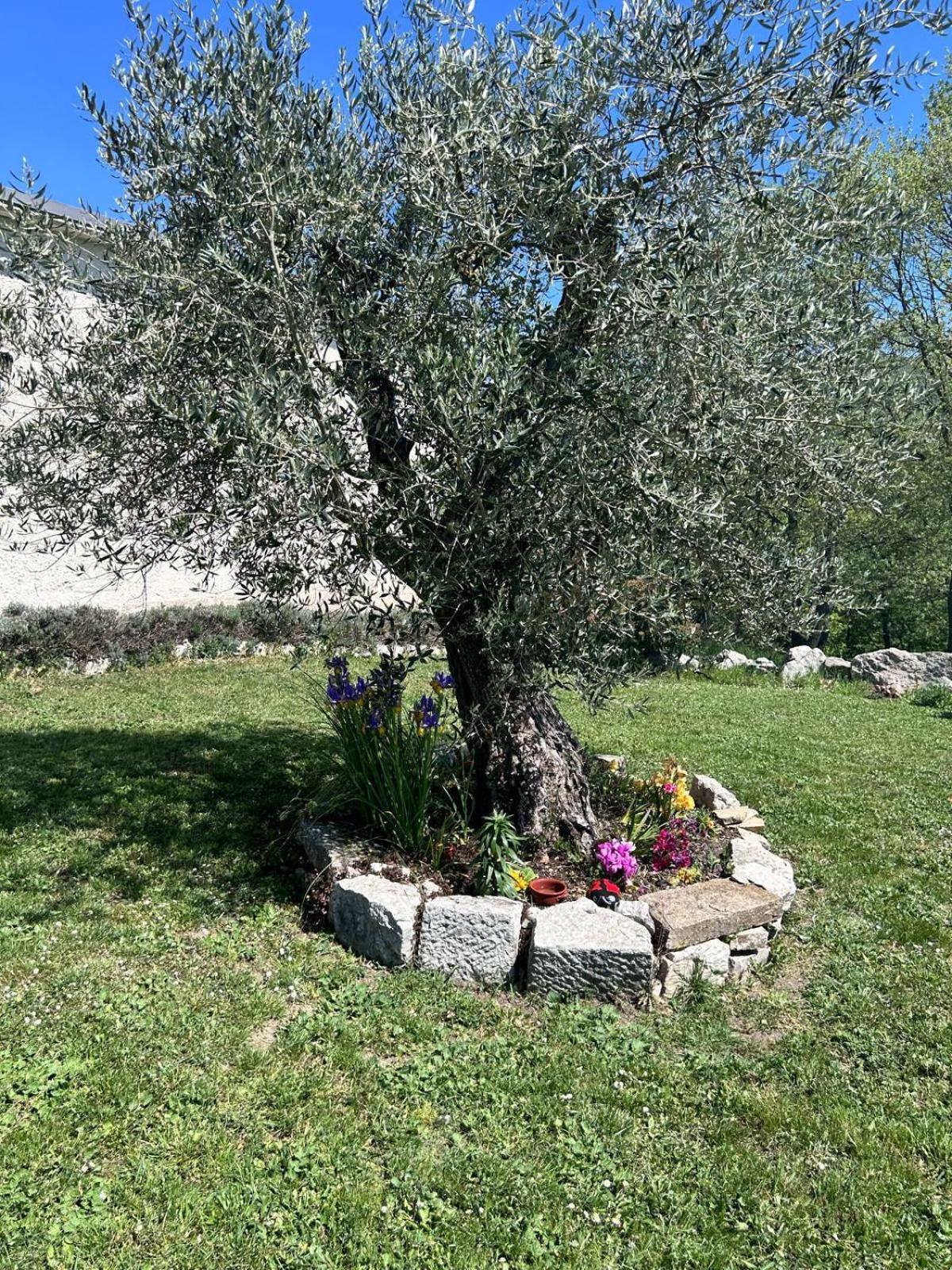 Residence San Martino Busso Екстериор снимка